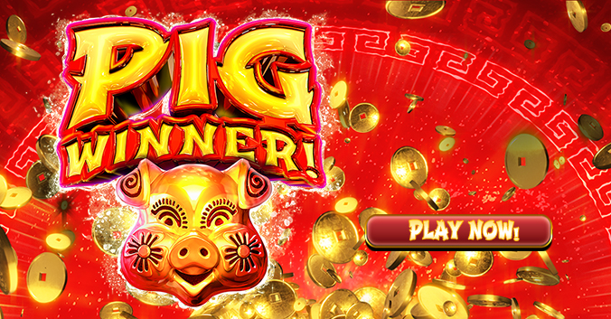 Pig Winner play now