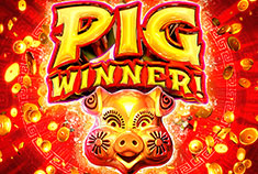 pig-winner