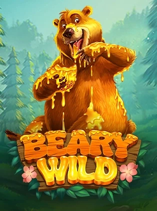 Beary Wild