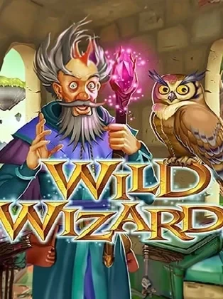 Wild Wizards